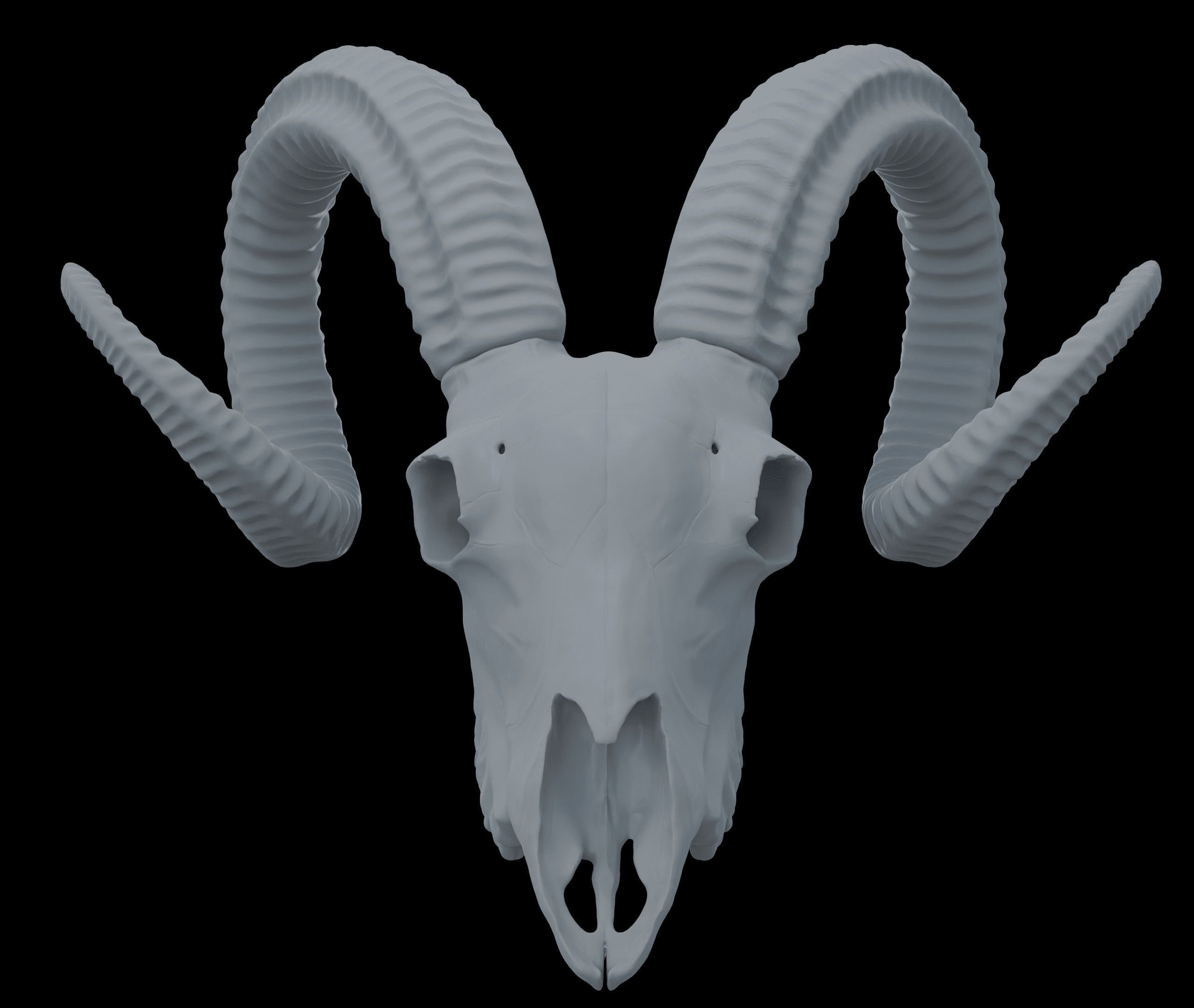 Ram Skull HighPoly Free 3D model_7