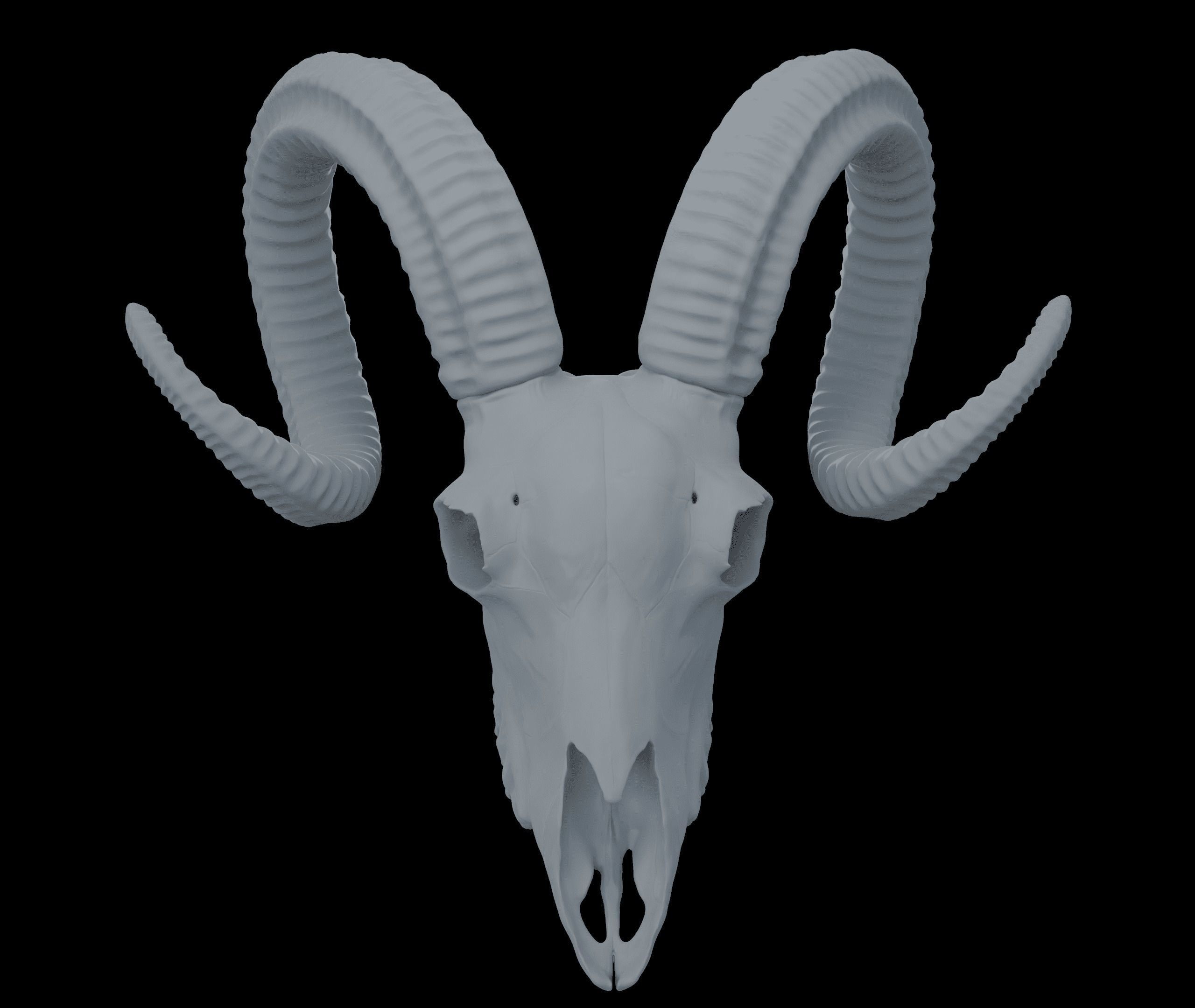 Ram Skull HighPoly Free 3D model_13