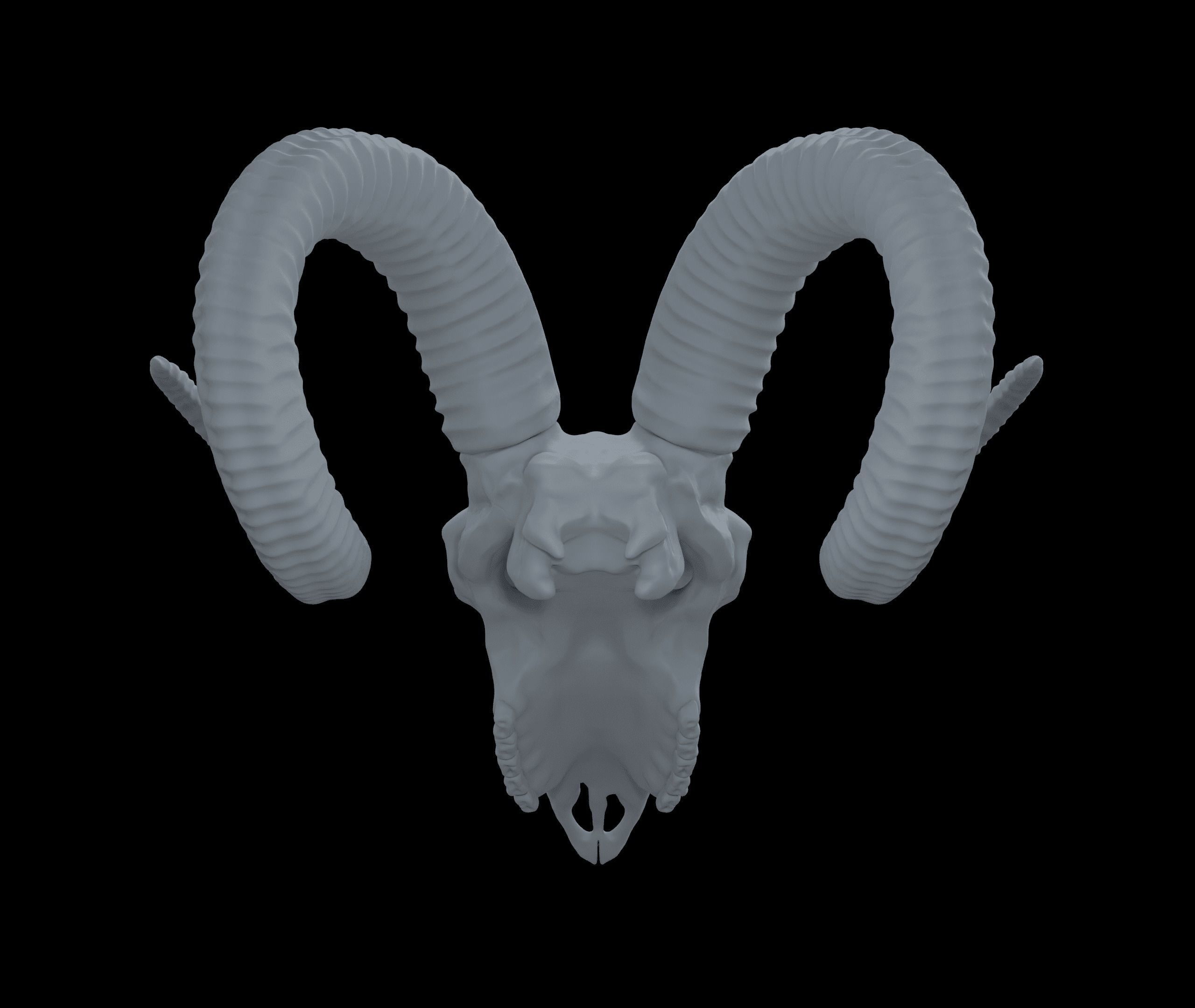 Ram Skull HighPoly Free 3D model_10