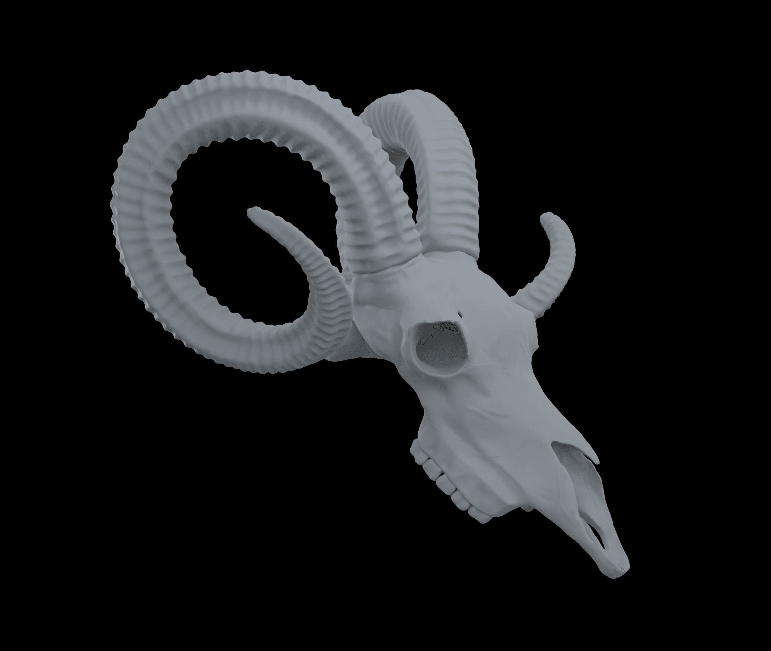 Ram Skull HighPoly Free 3D model_12