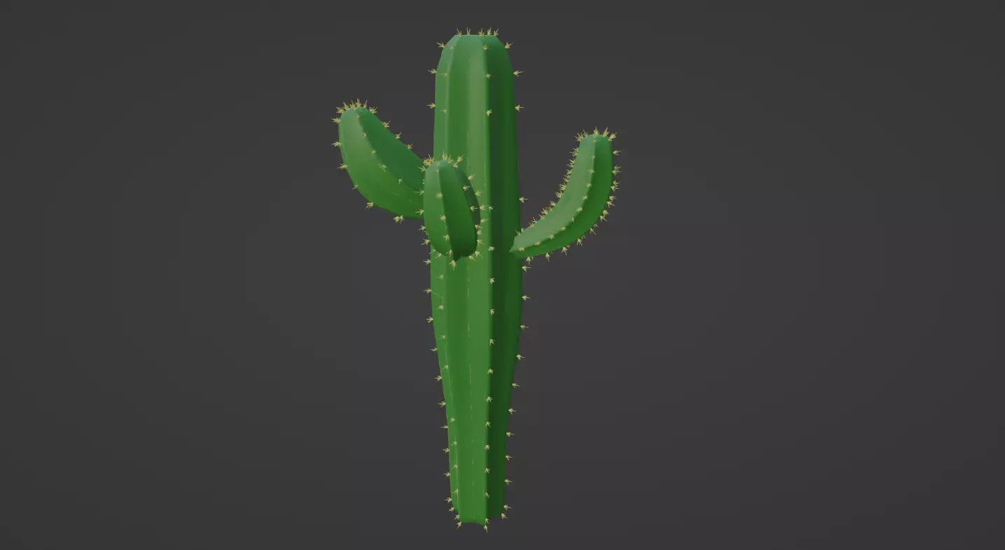 Cactus Low-poly 3D model_0