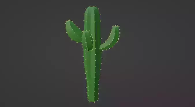 Cactus Low-poly 3D model