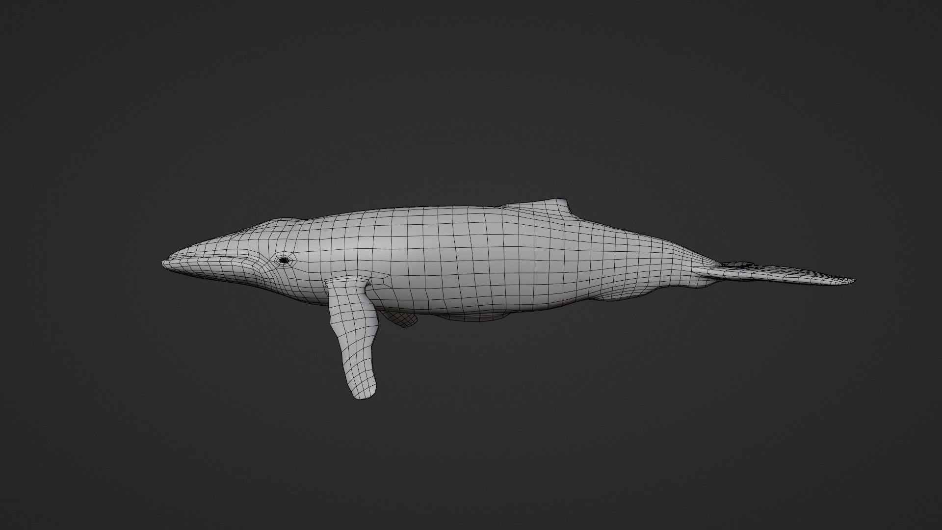 Whale - low poly 3D model flying in sky Low-poly 3D model_2