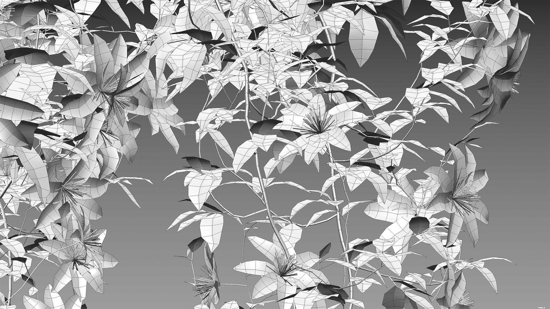 Clematis Aotearoa - Clematis Jackmanii 02 3D model_10