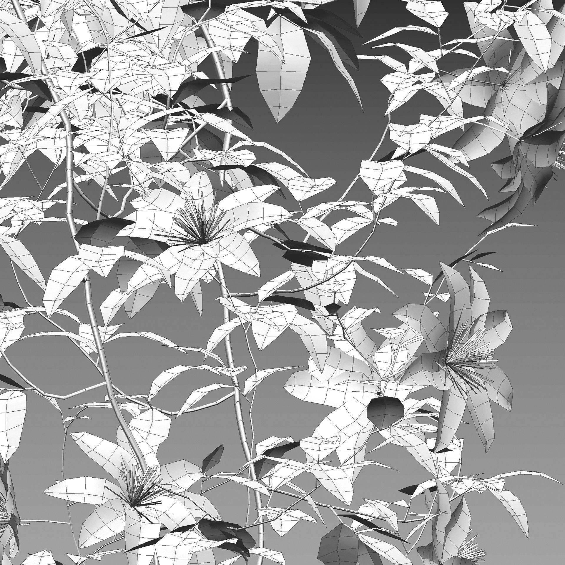Clematis Aotearoa - Clematis Jackmanii 02 3D model_4