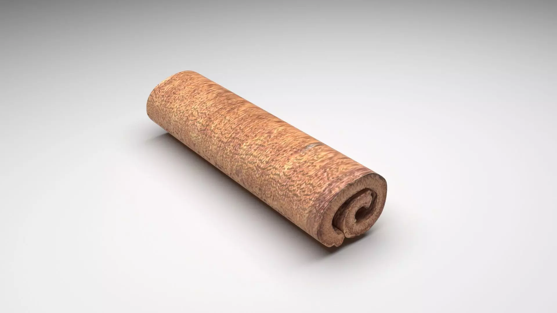 Cinnamon 3D model