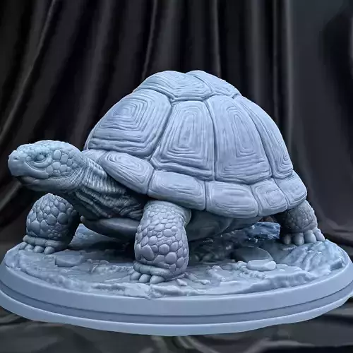 TORTOISE statue of