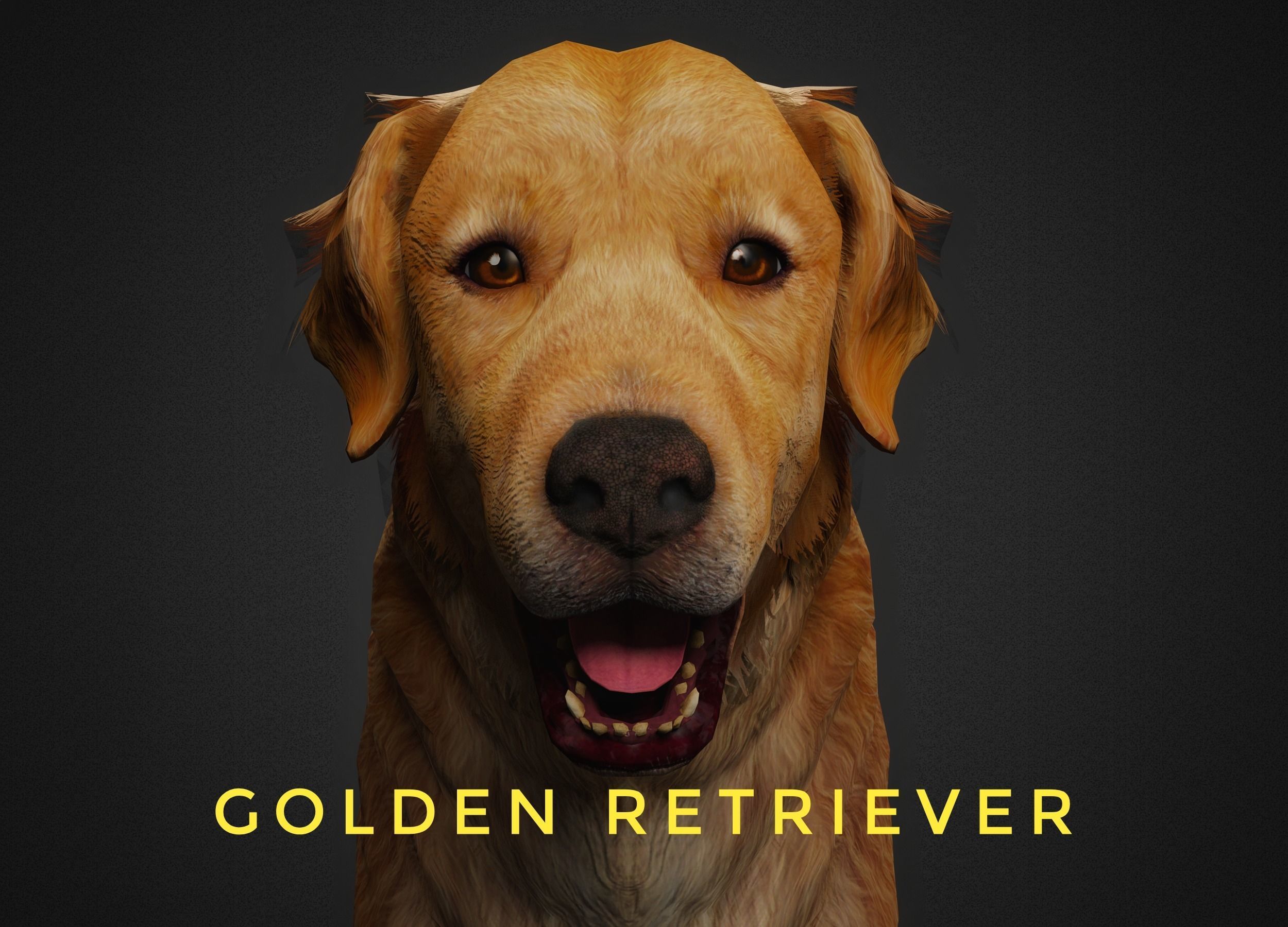 DOG - GOLDEN RETRIEVER Low-poly 3D model