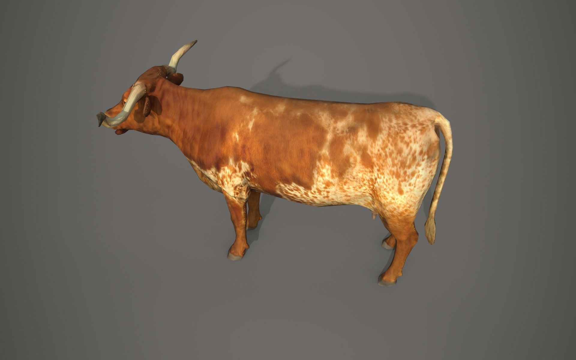 Dairy cow Low-poly 3D model_6