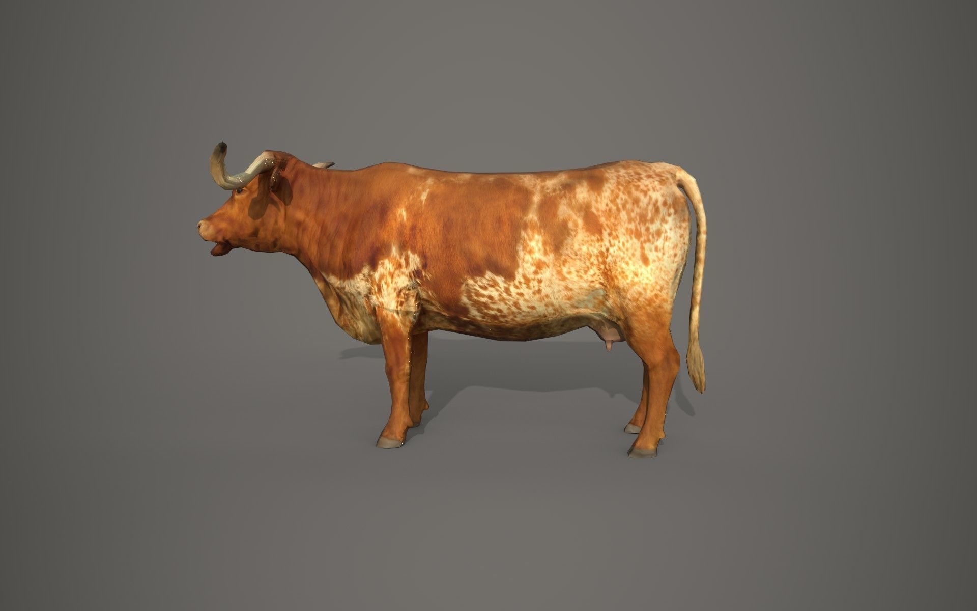 Dairy cow Low-poly 3D model_3