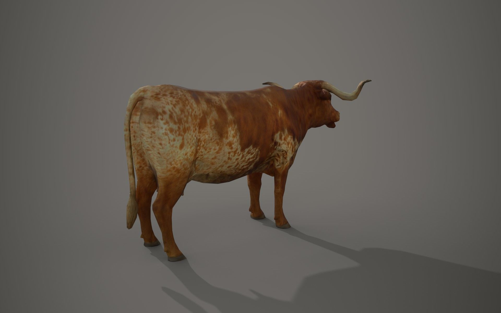 Dairy cow Low-poly 3D model_11
