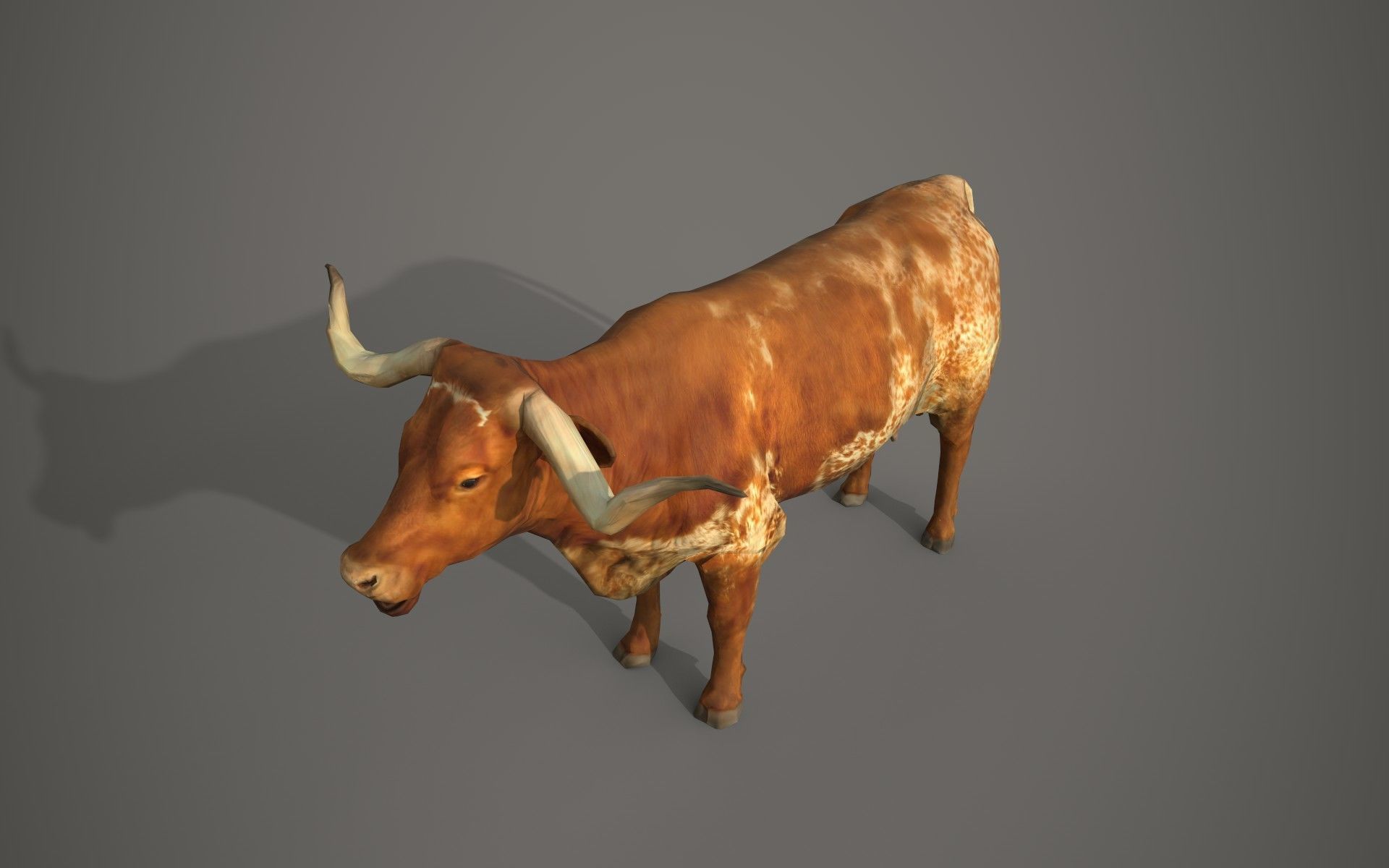 Dairy cow Low-poly 3D model_14