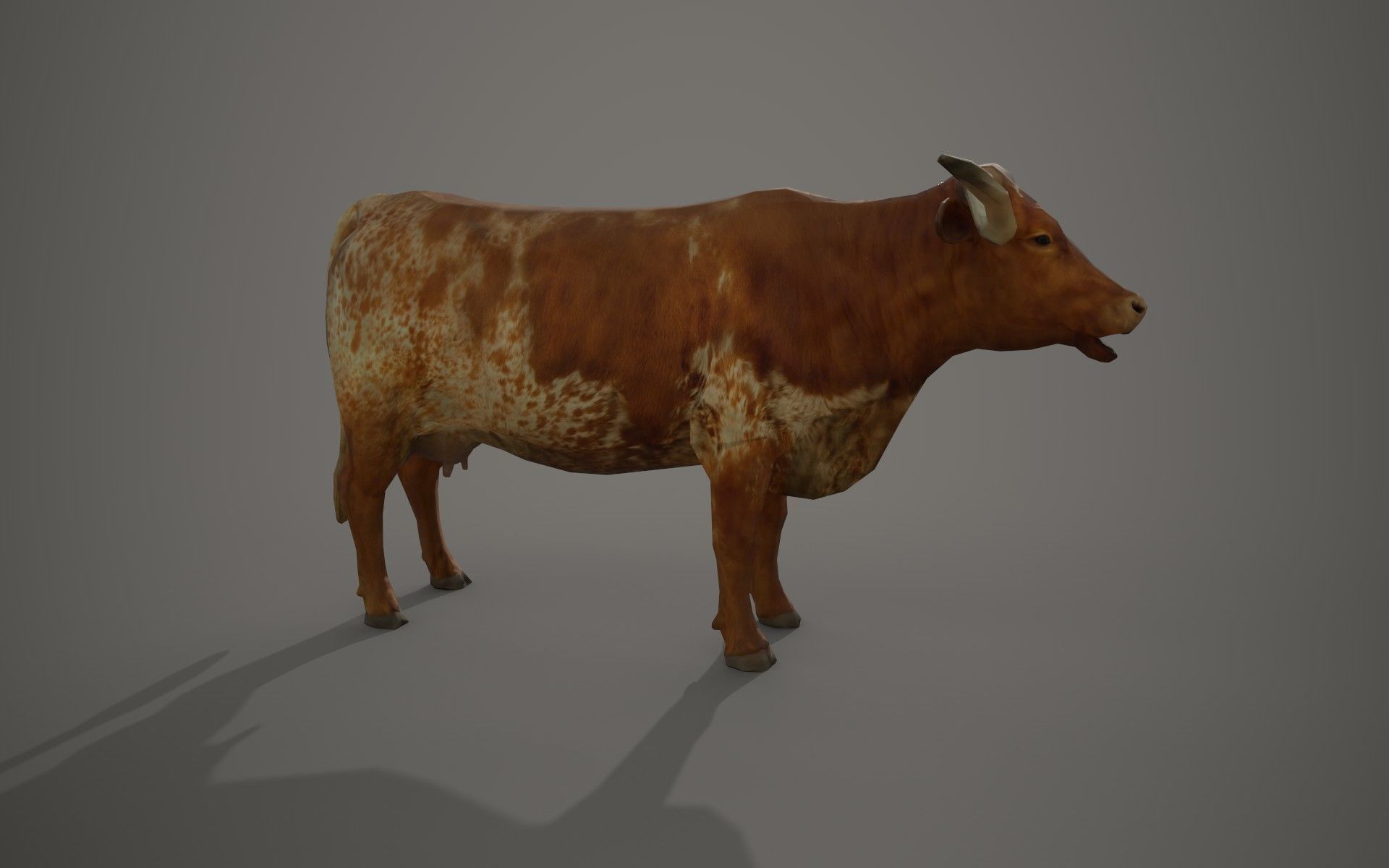 Dairy cow Low-poly 3D model_4