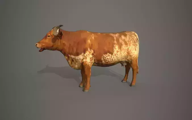Dairy cow Low-poly 3D model