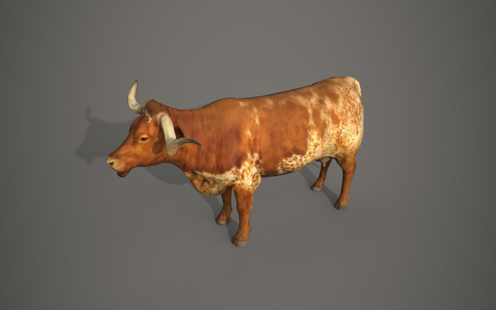 Dairy cow Low-poly 3D model_8