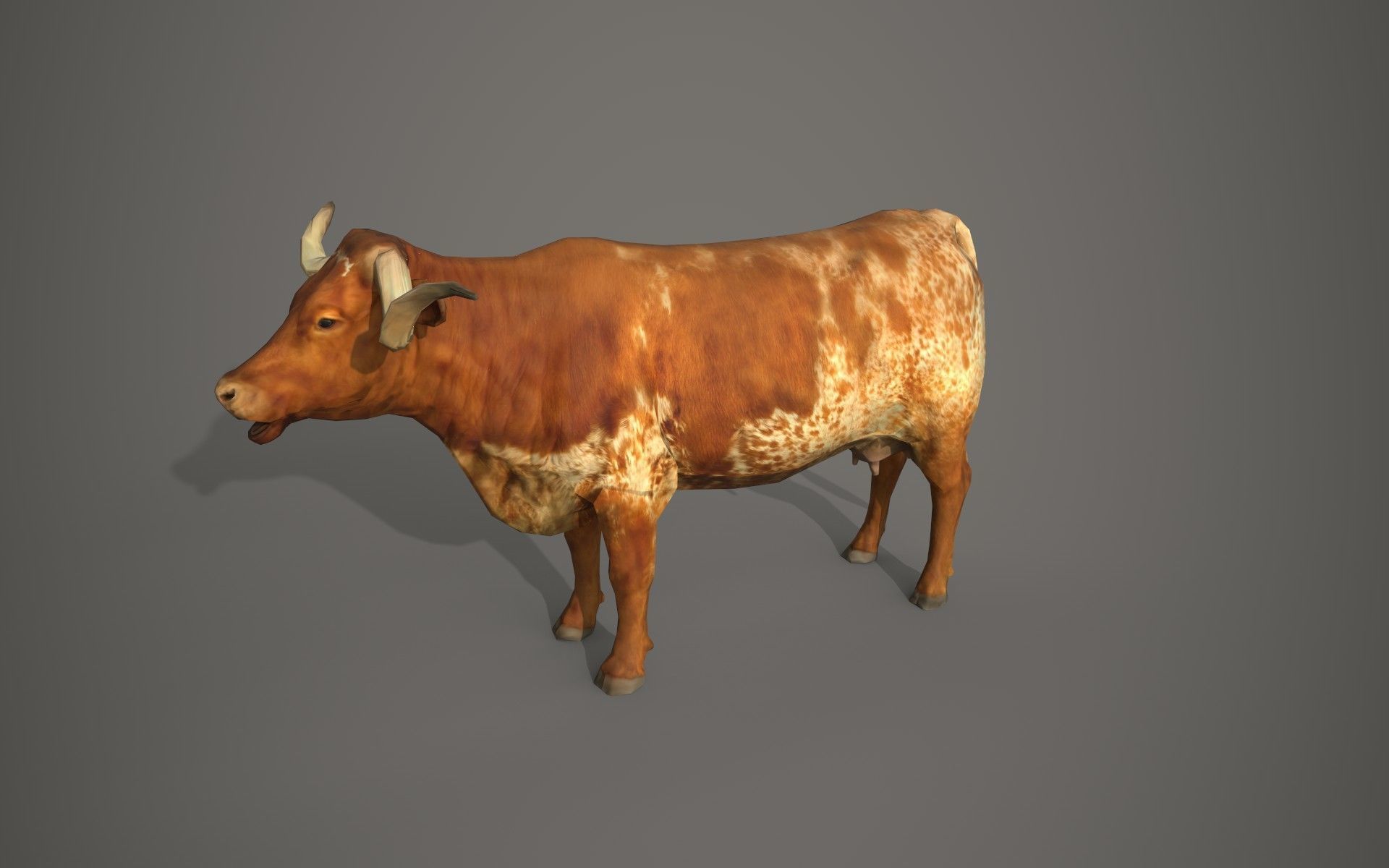 Dairy cow Low-poly 3D model_5