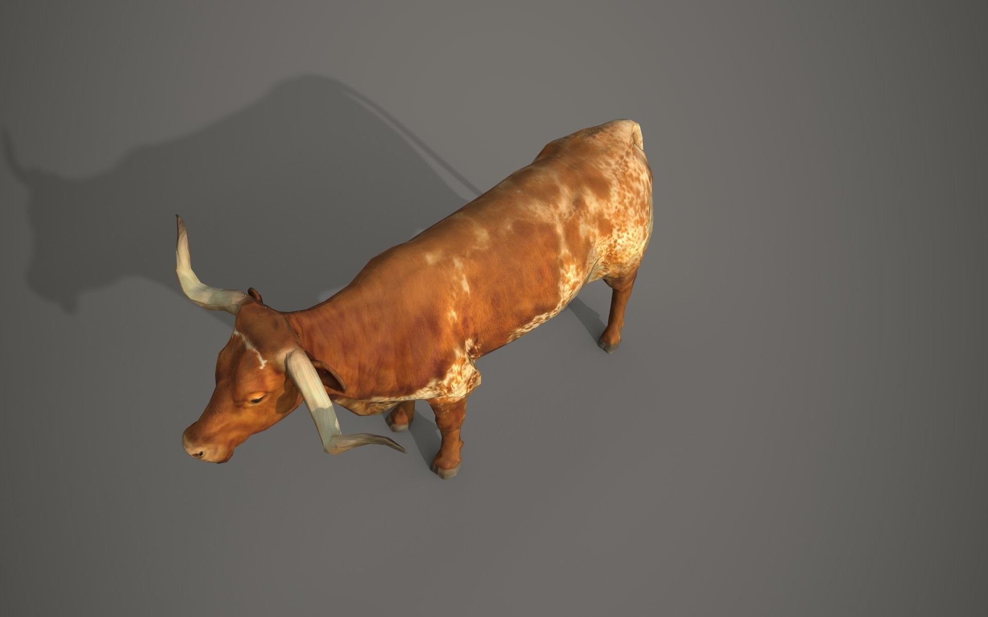 Dairy cow Low-poly 3D model_7