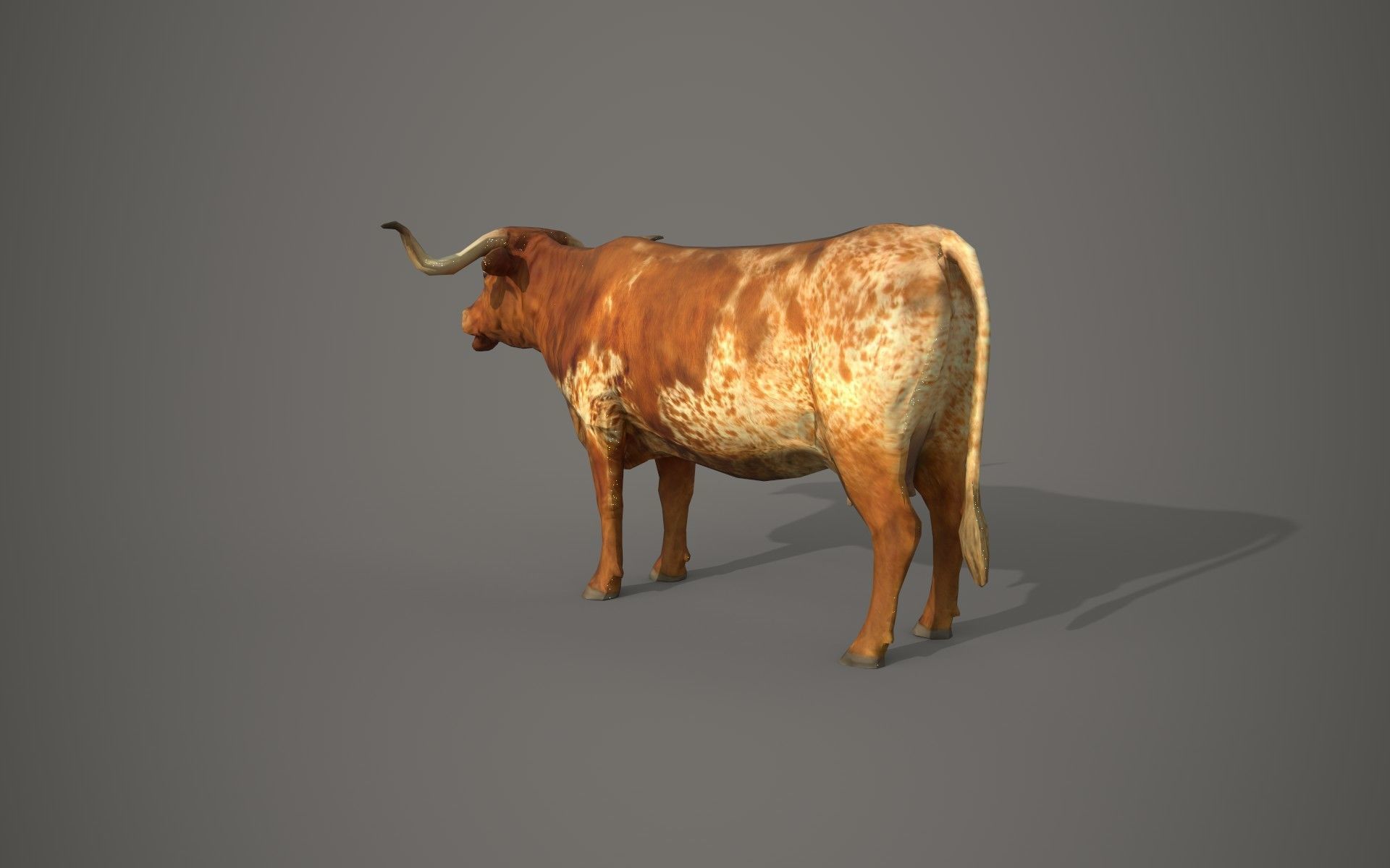 Dairy cow Low-poly 3D model_10