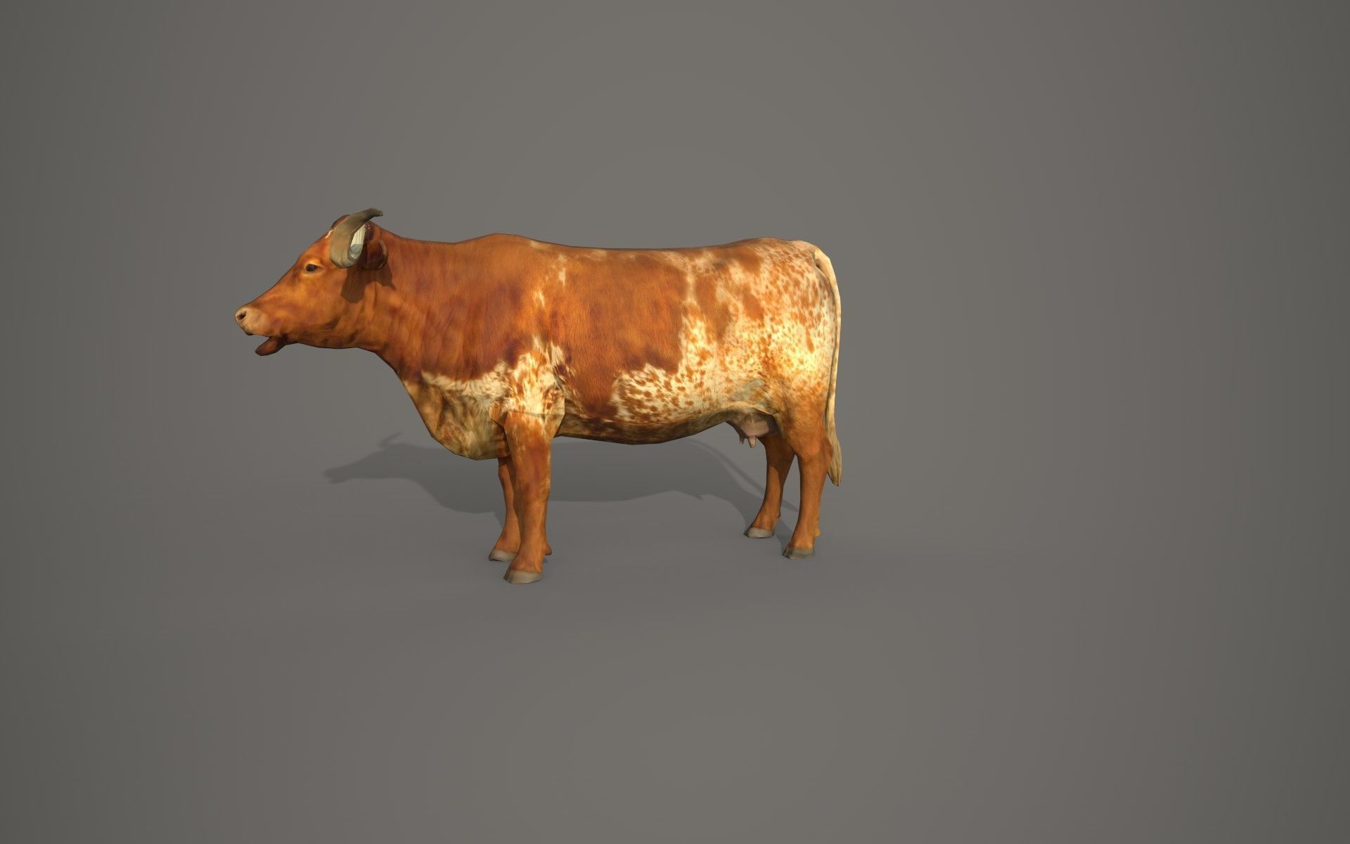 Dairy cow Low-poly 3D model_9