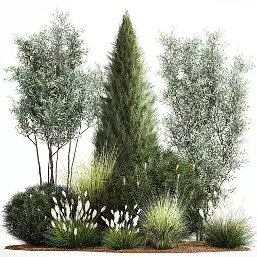 Trees And Bushes For The Garden Spruce Thuja 1190