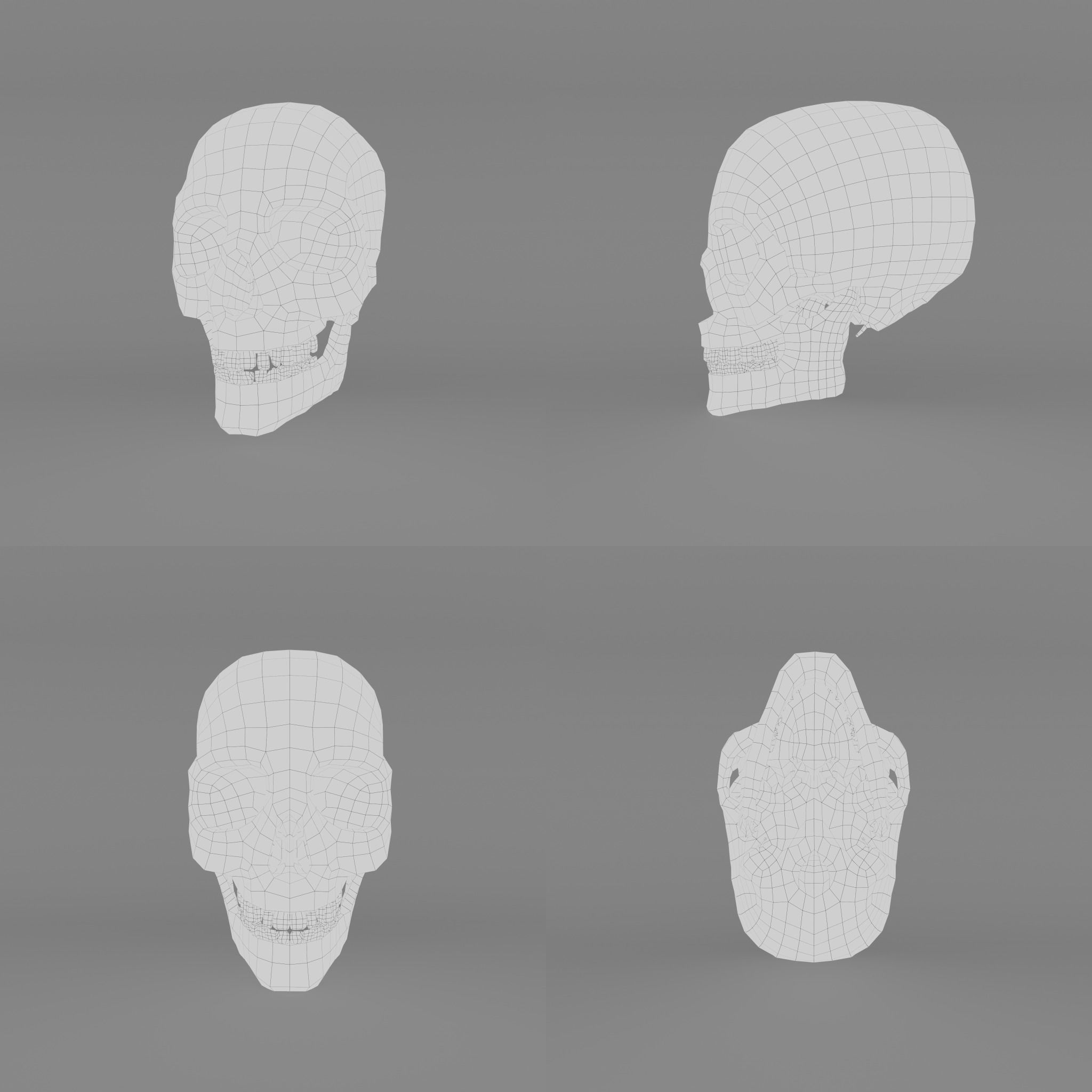 Skull  Low-poly 3D model_7