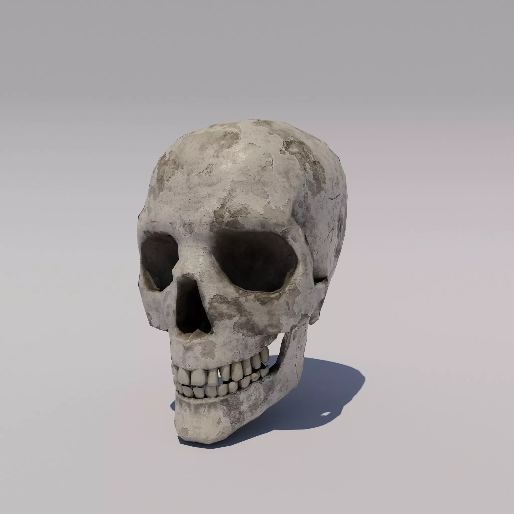 Skull  Low-poly 3D model_0