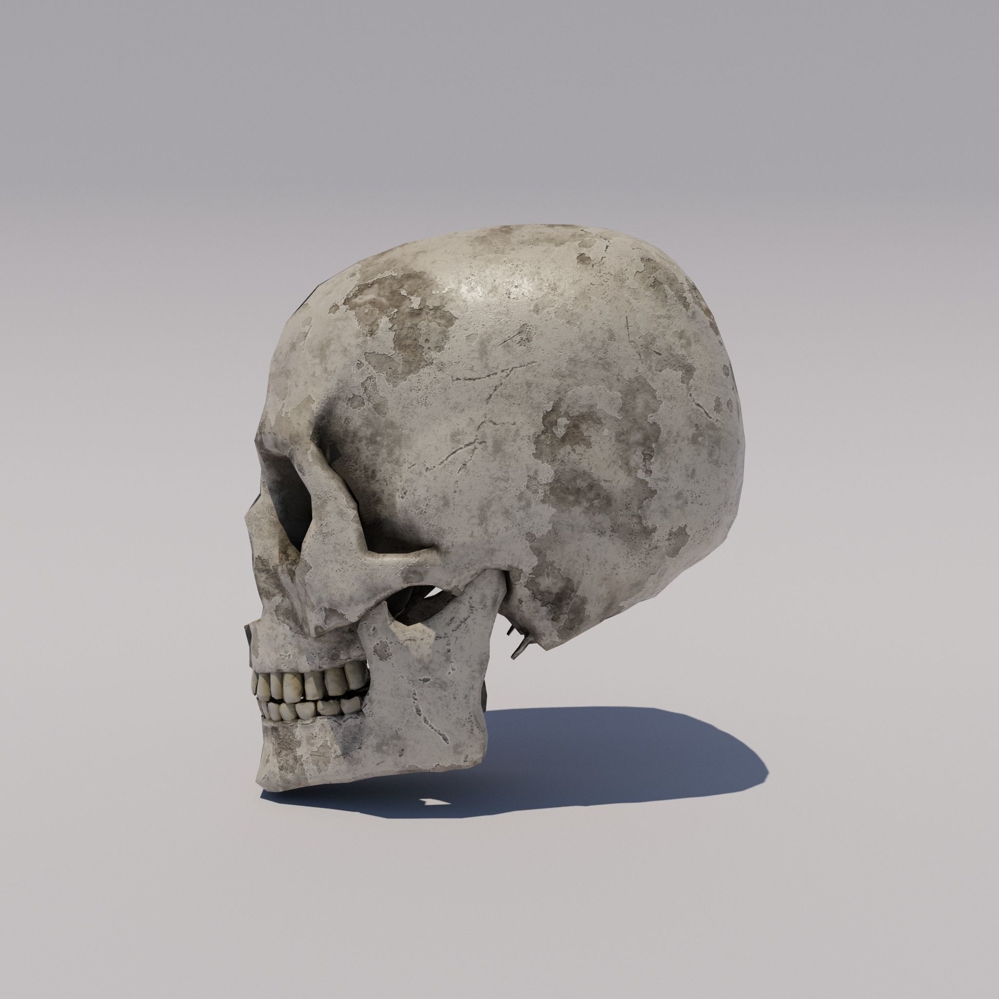 Skull  Low-poly 3D model_3