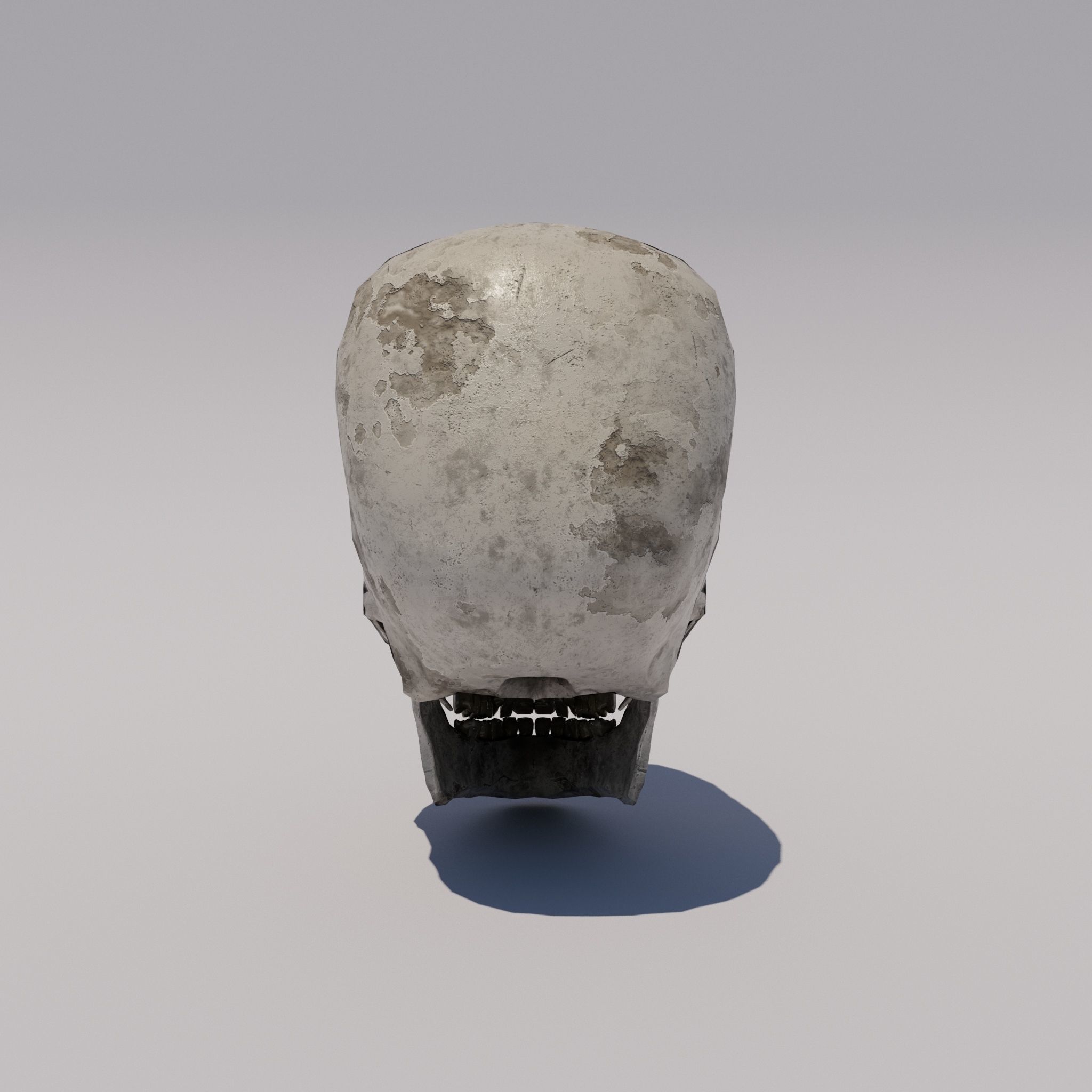 Skull  Low-poly 3D model_4