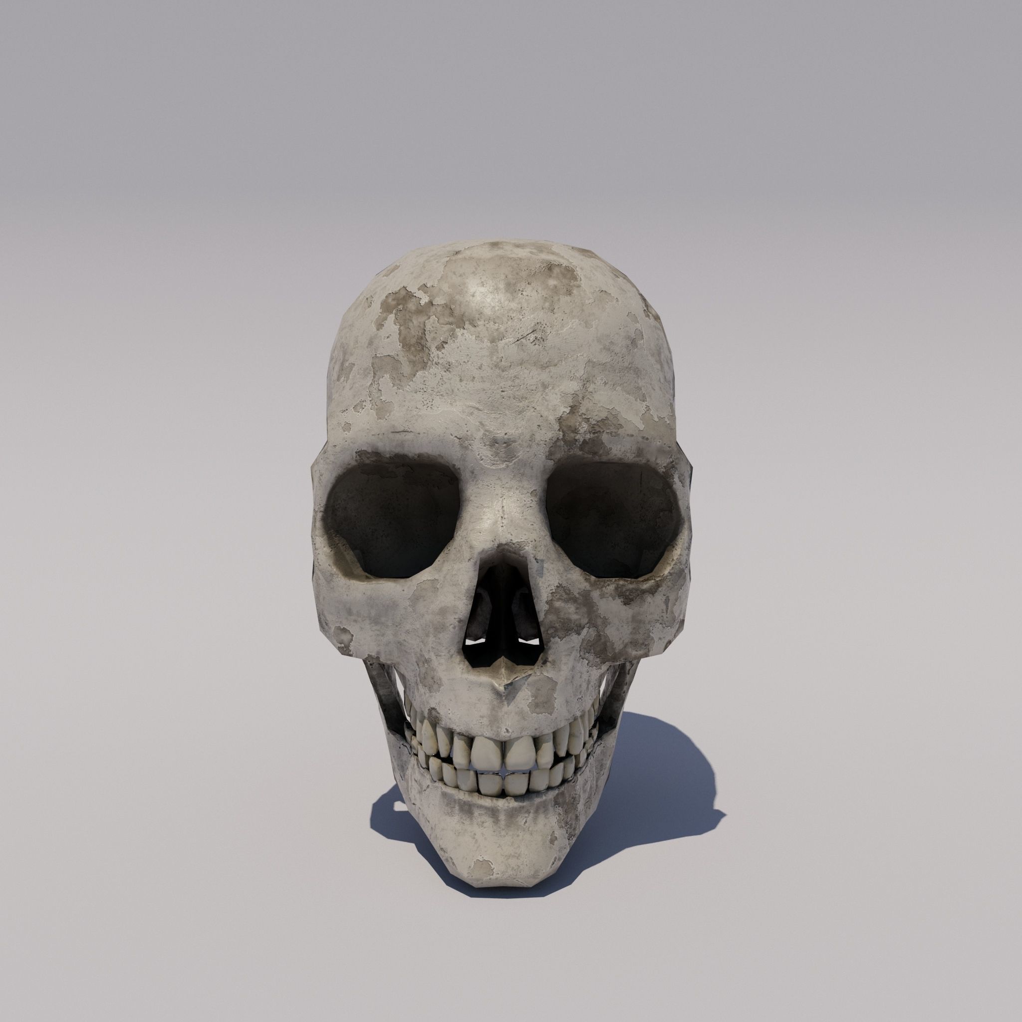 Skull  Low-poly 3D model_2