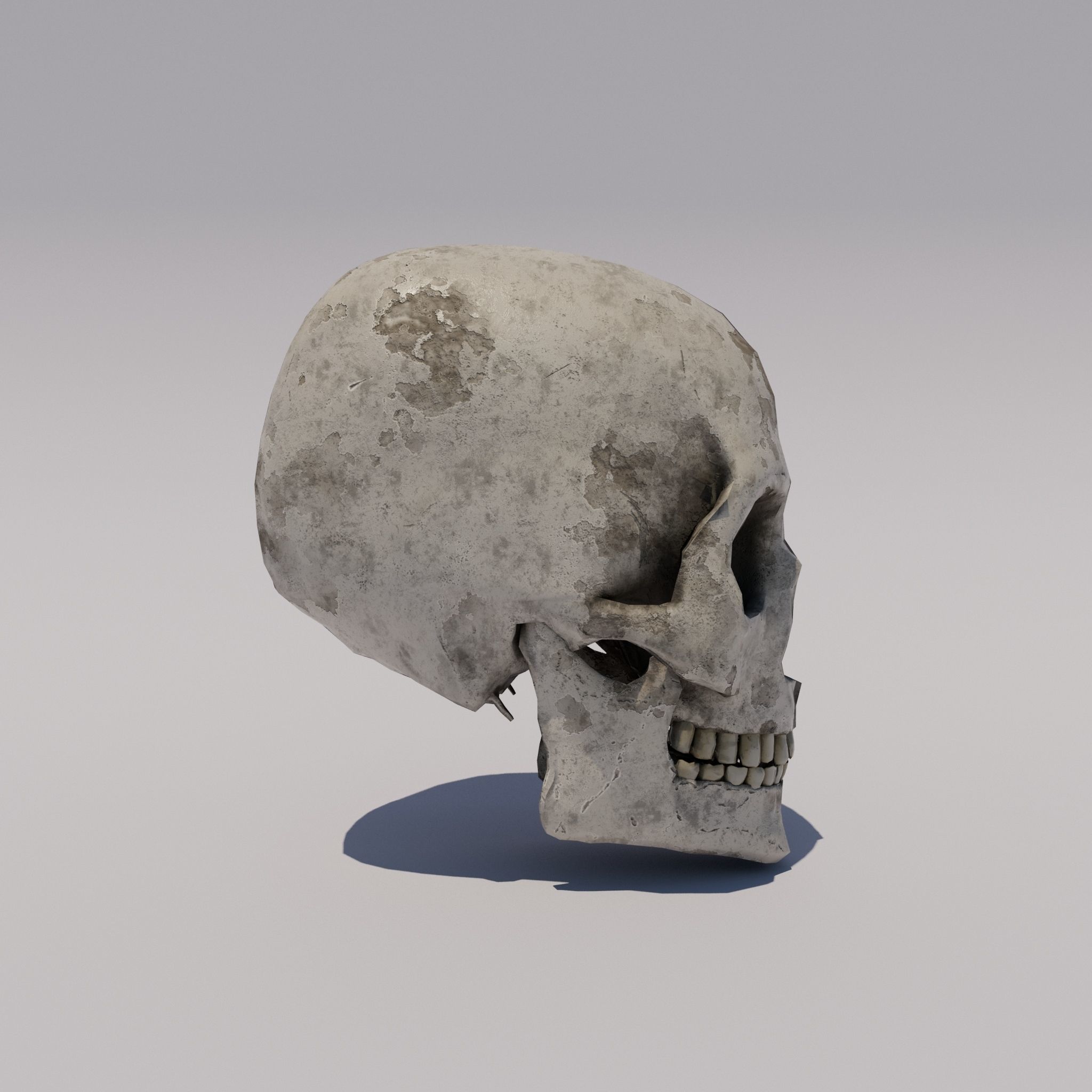Skull  Low-poly 3D model_5