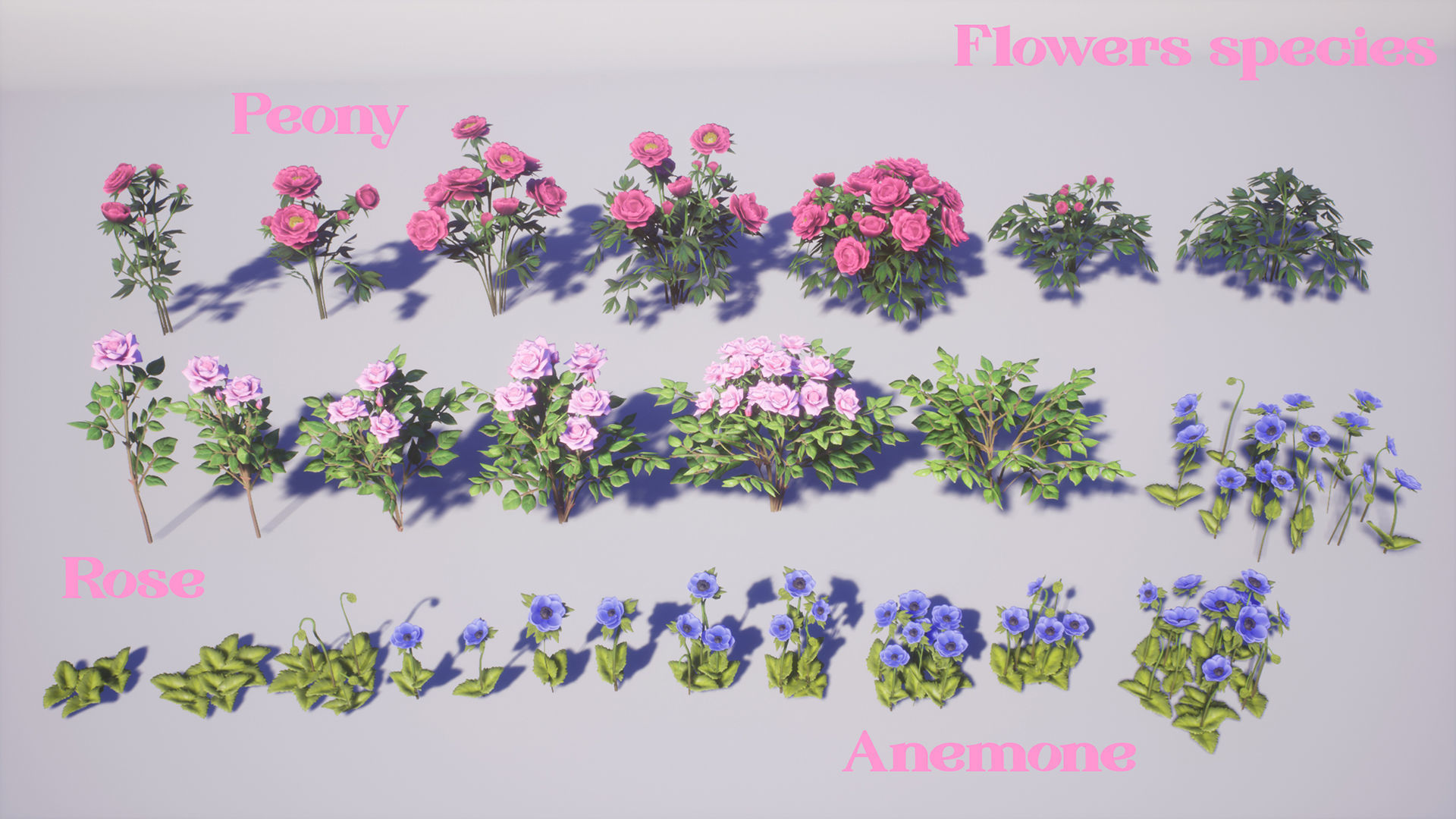 Flowers Pack Low-poly 3D model_4