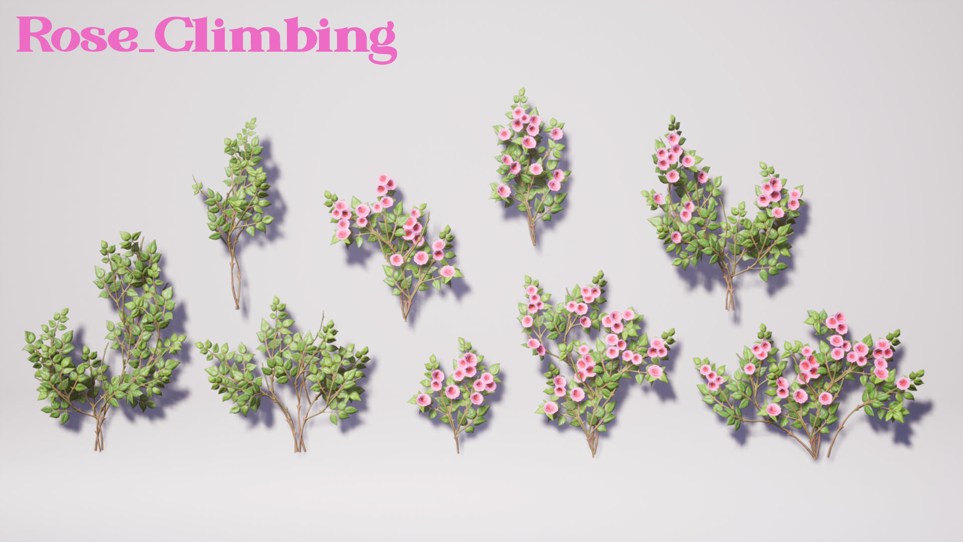 Flowers Pack Low-poly 3D model_7