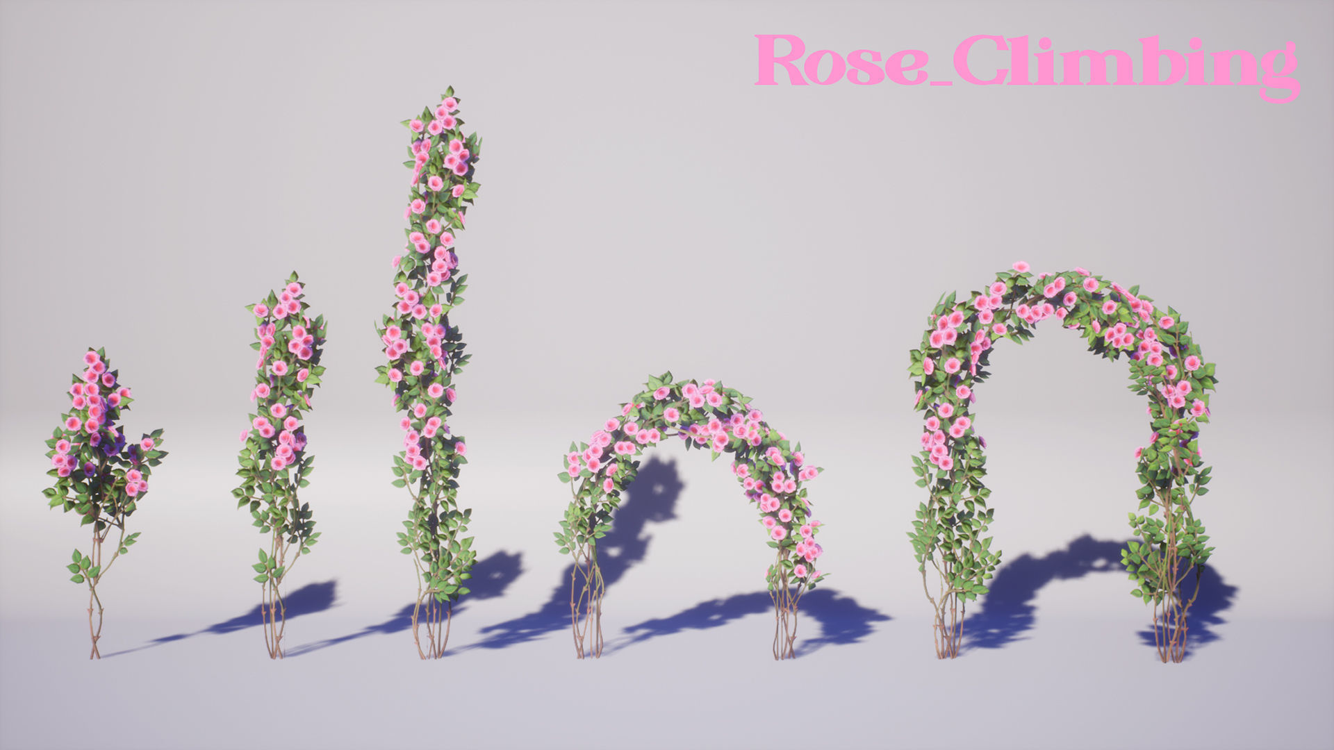 Flowers Pack Low-poly 3D model_5