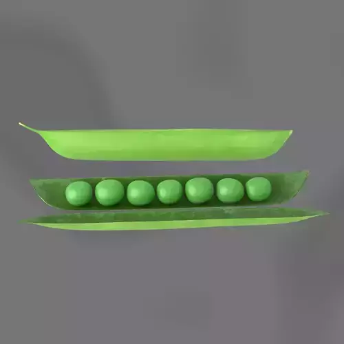 Green beans 3D model