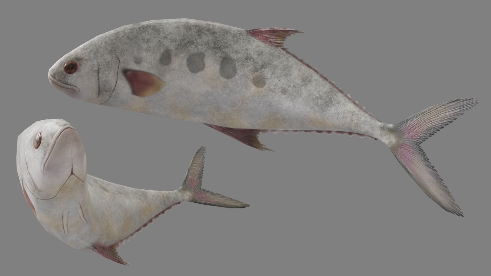 Medieval Fish Shop Low-poly 3D model_10