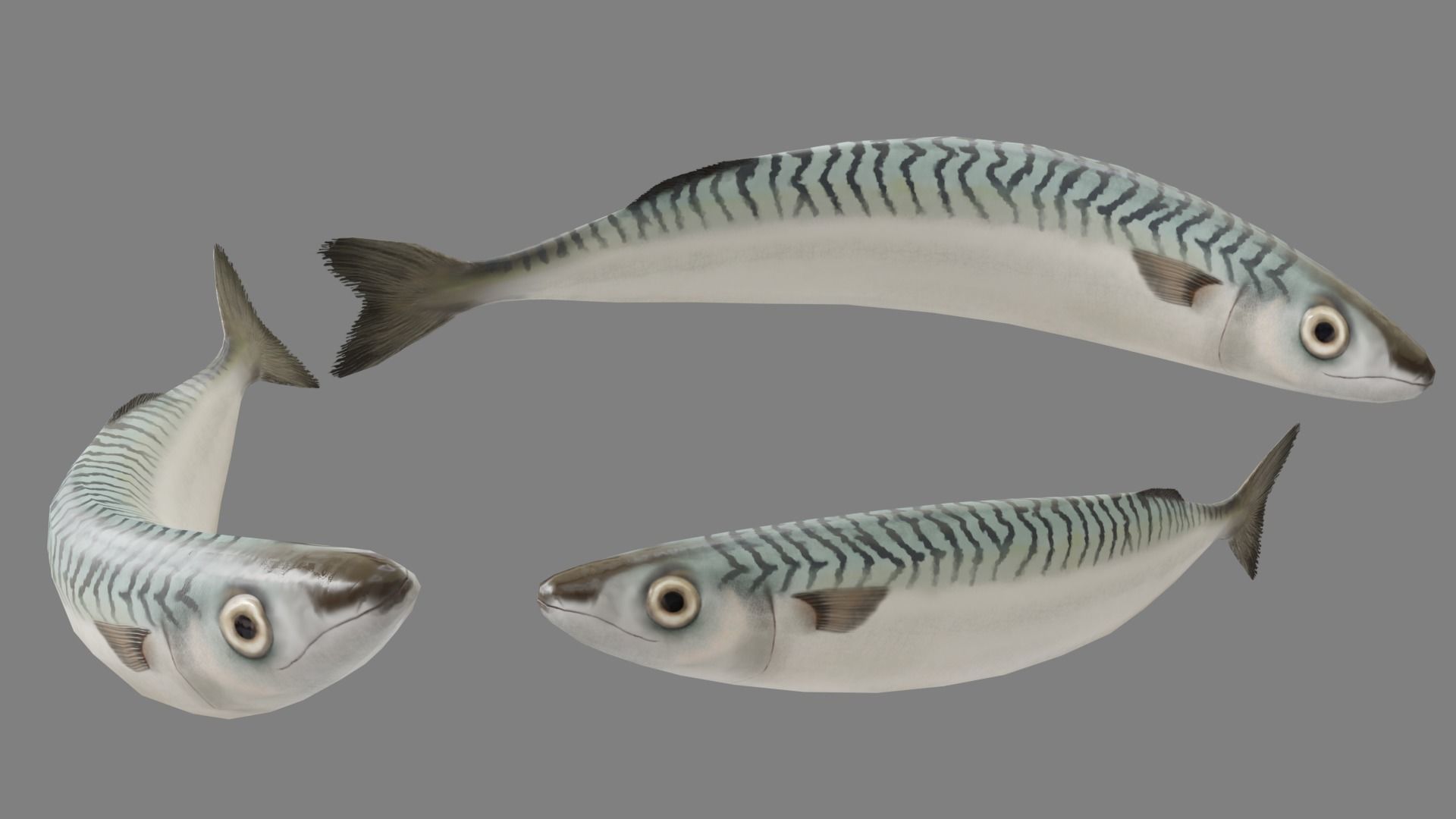 Medieval Fish Shop Low-poly 3D model_14