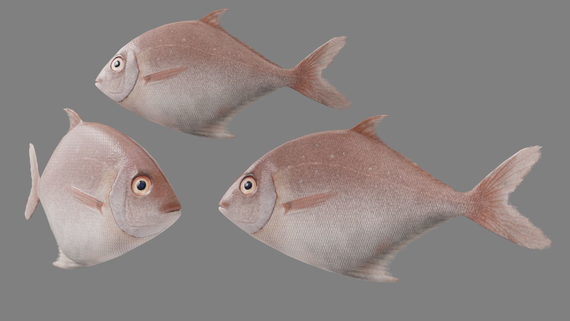 Medieval Fish Shop Low-poly 3D model_12