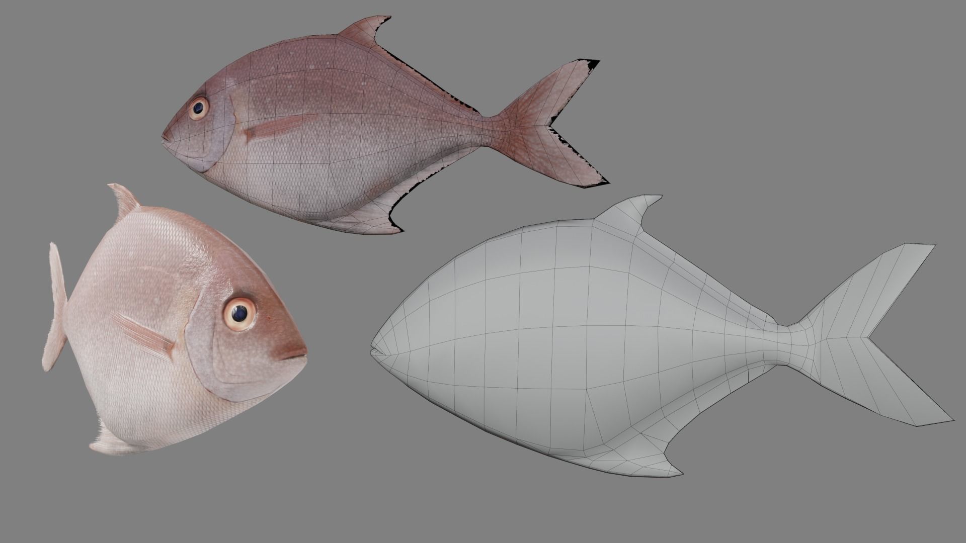 Medieval Fish Shop Low-poly 3D model_13