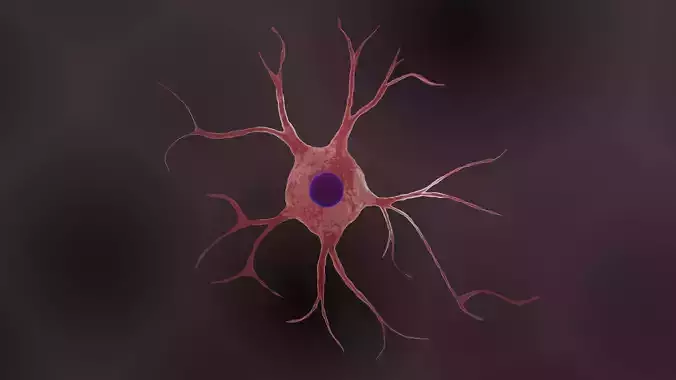 Astrocyte or Astroglia