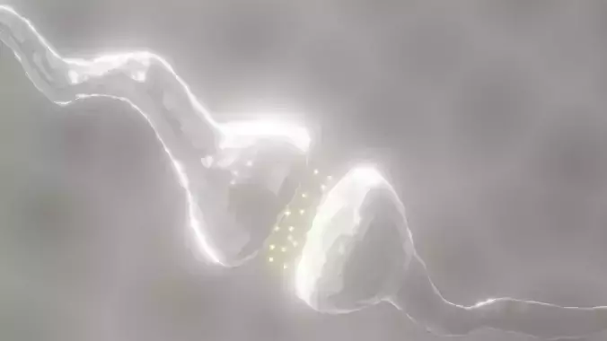 Synapse 3D model