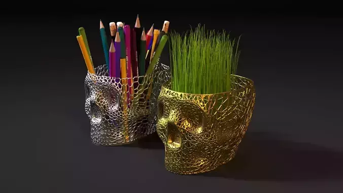 Skull planter organizer