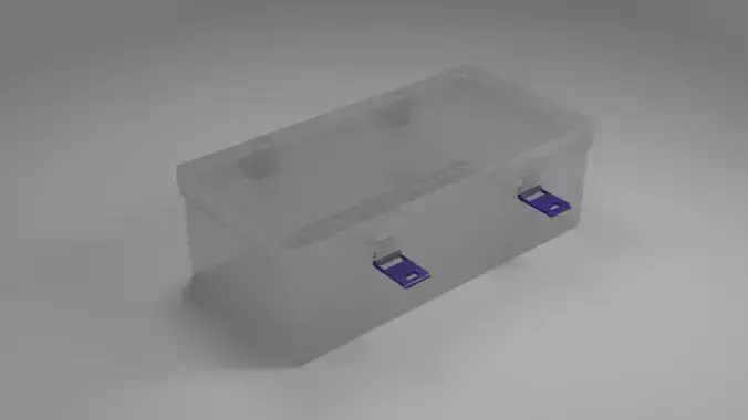 Transparent plastic container