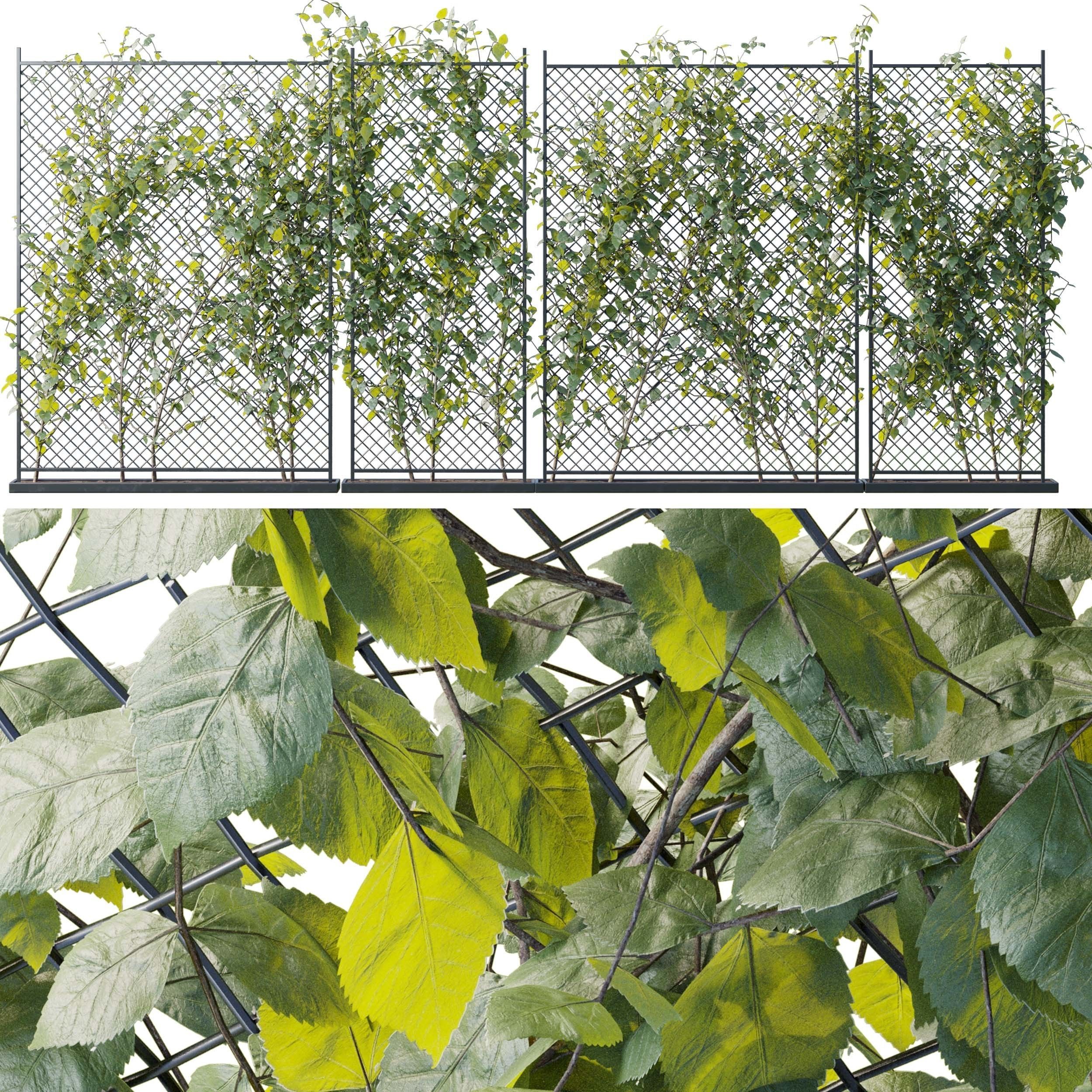Ivy on Fence 04 Low-poly 3D model_2