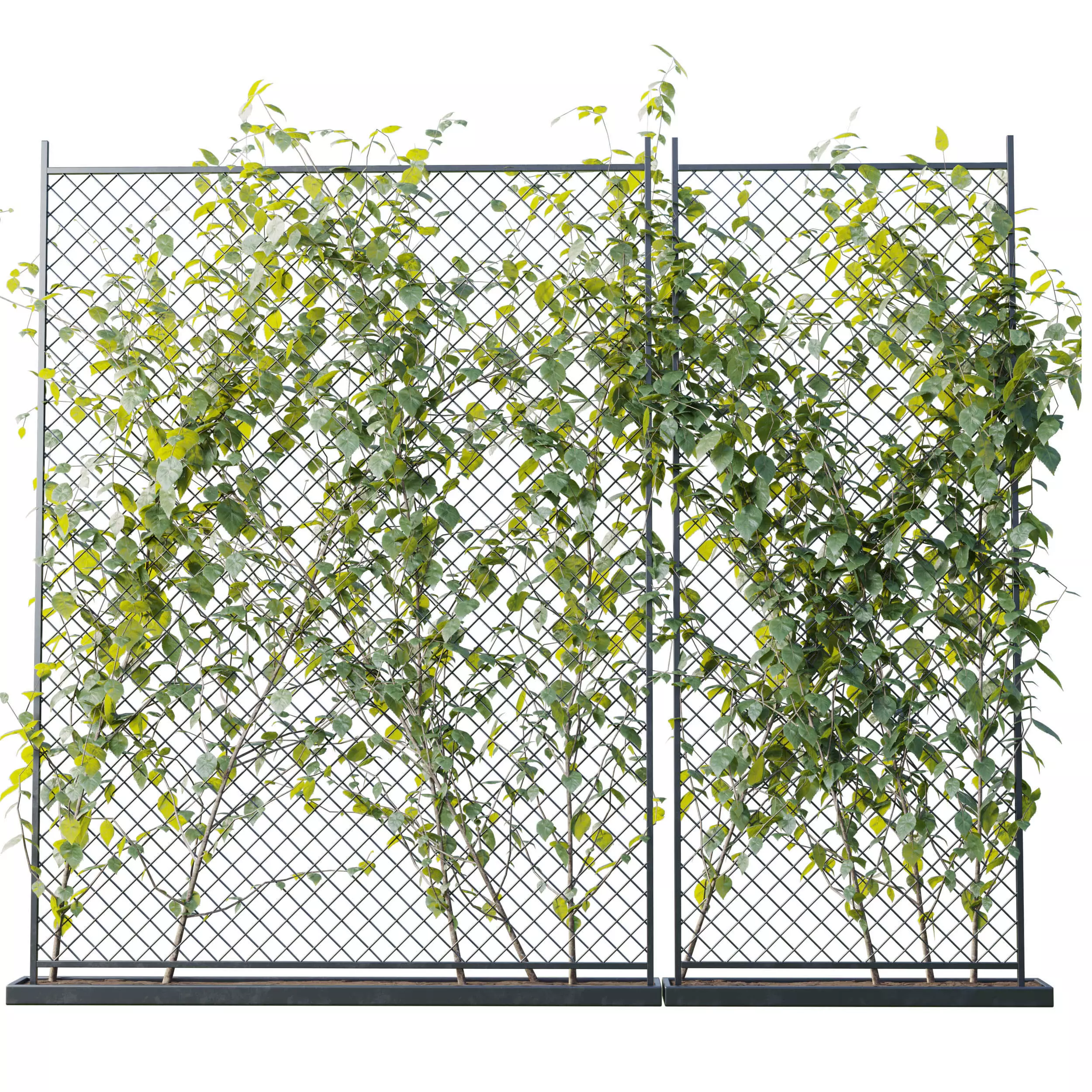 Ivy on Fence 04 Low-poly 3D model_0