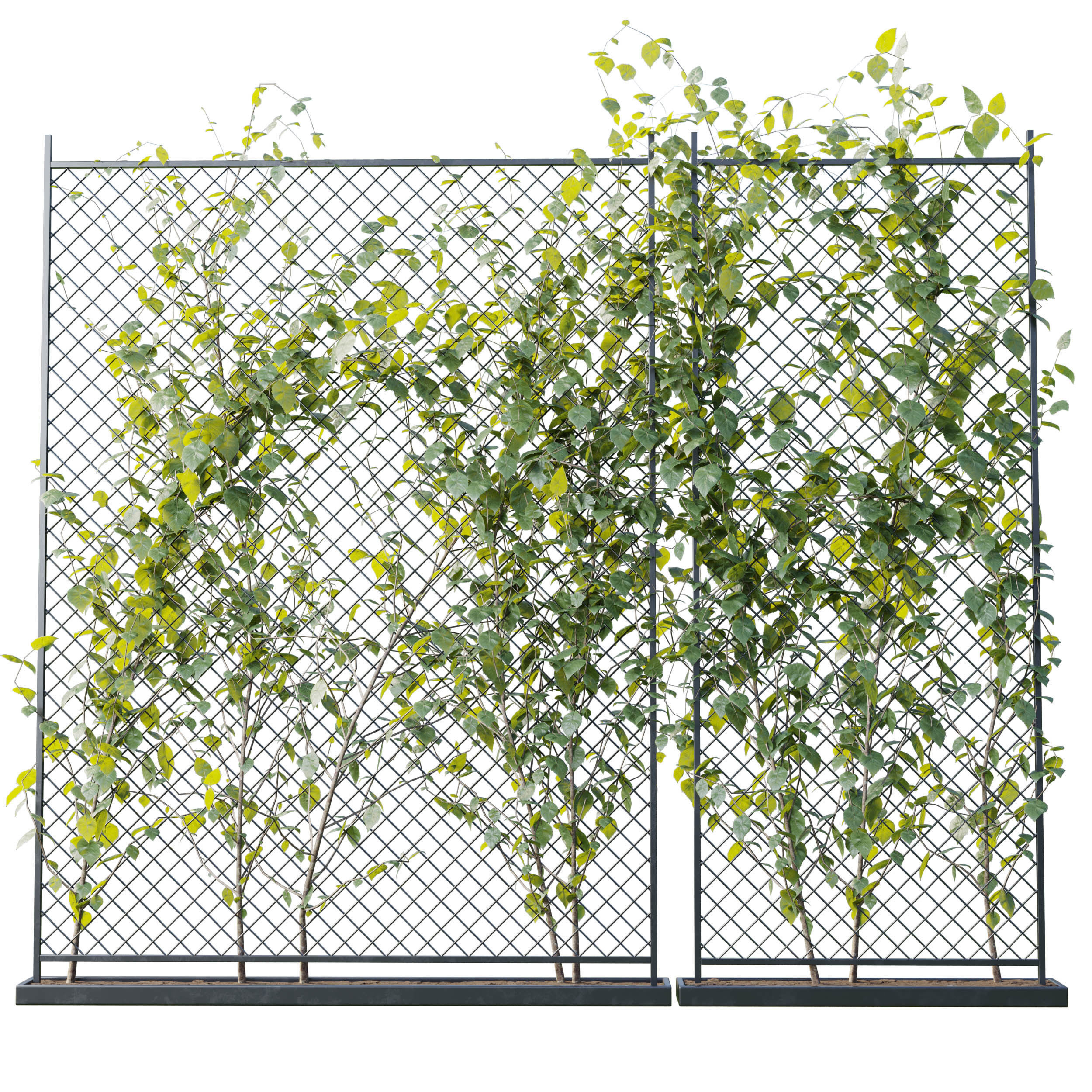 Ivy on Fence 04 Low-poly 3D model_1
