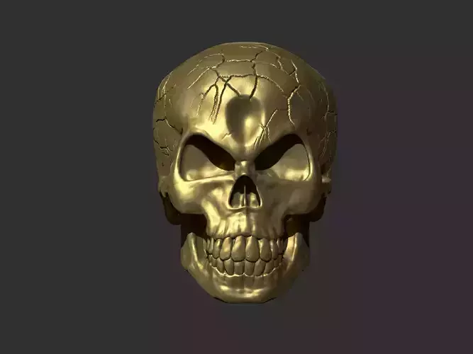 skull