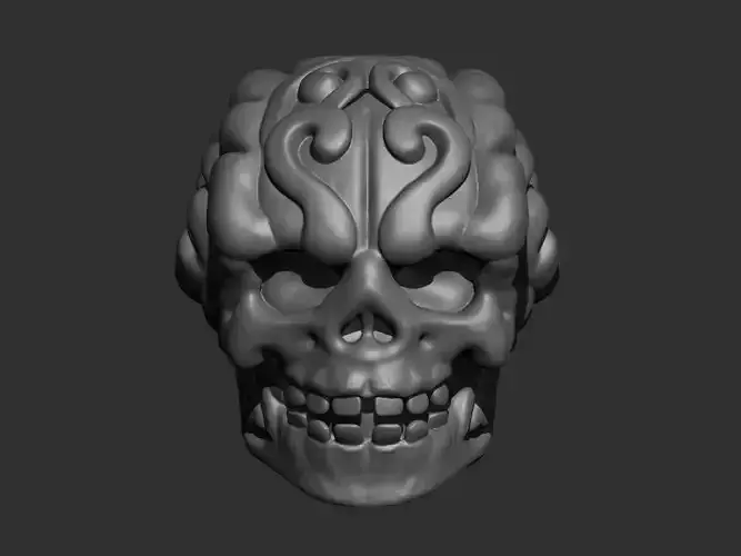 skull 3D print model