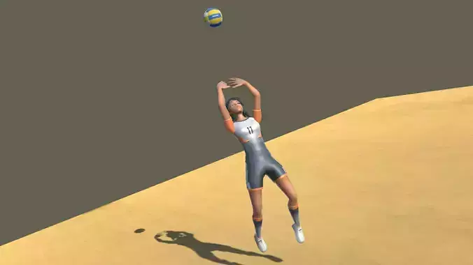 Volley Ball Avatar Actions 3D model