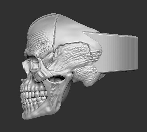 Double Face Skull Ring 3D print model_1