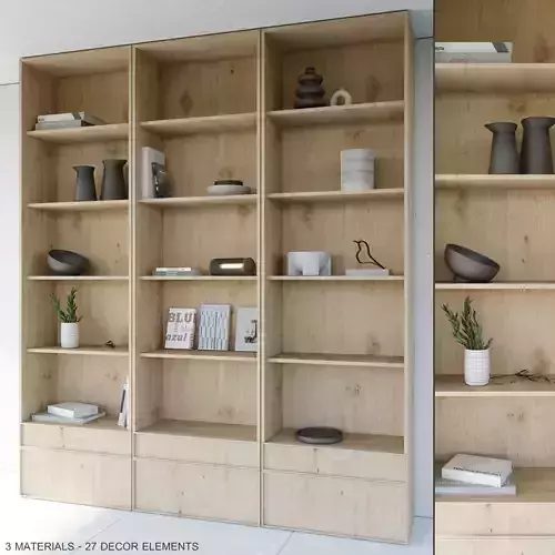 Bookcase and Rack 01